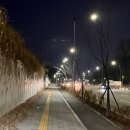 도심산책 이미지