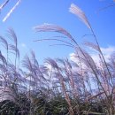 A GYM 용현점 이미지