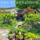 샛별글램핑 이미지