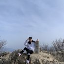 팔용산 등산로 입구 | 팔용산 등산후기⛰ (소원탑, 봉암수원지, 지도, 주차장, 길잃어서 하산만 2시간 한 썰)