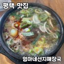 평택농업협동조합 | [공지] 평택 브라이언 선지해장국 맛집 [엄마네선지해장국] 내돈내산 후기
