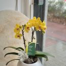 평광초등학교 이미지