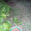 산골마당 이미지