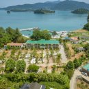 버드나무캠핑장 이미지