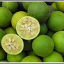 여일한의원 이미지