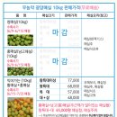 광양 우리네 무농약 황/홍매실 (제 28-3-559호) 판매합니다. 이미지