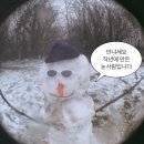 11월 1