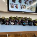 다해환경 이미지