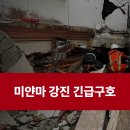 미마이인터네셔널 이미지