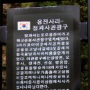 정과사랑