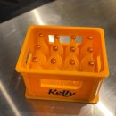 개나리 | 종로맛집 곤이듬뿍 아구찜 개나리아구찜 방문 후기