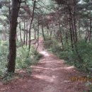 이산치안센터 이미지