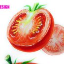 토마토디자인 Daum카페