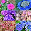 동화조경농원 이미지