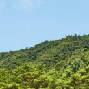 포레스트 리솜 이미지