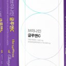 브이 나인 이미지