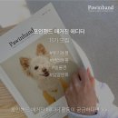 포인