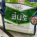 서울종묘농약사 이미지