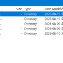 900068 | CCE2025 예선 write up 및 후기