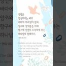 오늘의 '신앙 명언'(272강) 헨리 워드 비처(Henry Ward Beecher) 이미지