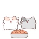 모다샤브(뷔페) 이미지