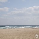 영덕관광안내소 이미지