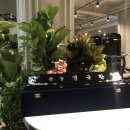 이끌리짐 이미지