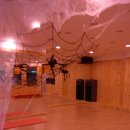 바운스휘트니스 이미지