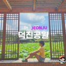 전북대학교자연사박물관 | 전주여행 가볼만한곳 연꽃으로 유명한 전주덕진공원