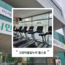 CU 고양어울림누리점 | 고양어울림누리 헬스장 이용 후기 (주차, 샤워시설, 일일권)