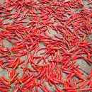 일등미생물 비료 이미지