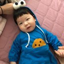 일상