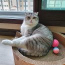 행복반찬 이미지