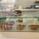 푸푸커피 경산점 이미지