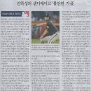 금빛나라 이미지