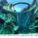 맑은다리 이미지