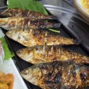 숭의2동 | [인천] 미추홀구 숭의동 맛집 가성비 맛 최강 회전퓨전포차 찐 후기