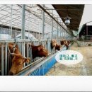 한우나라 이미지