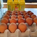 예담추어정 이미지