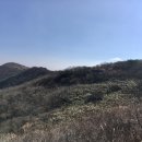 선명사슴농장 이미지