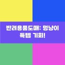 행복한 멍냥이 | 반려용품도매: 멍냥이 득템 기회!