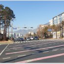 도계광장교차로 이미지