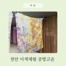 천연염색 | 천안공방 추천 공방고운 천안원데이클래스 스카프 천연염색 체험 후기