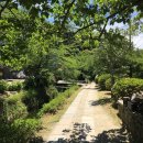 5835 | 일본 후쿠오카 자유여행 가볼만한곳 추천｜유후인 벳푸 다자이후 일일투어