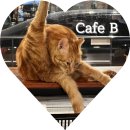 카페비(Cafe B) 이미지