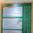 배가왕 이미지