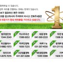 산206 이미지