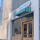 헬로샐로 이미지