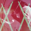 MAD AND MUSCLE 이미지