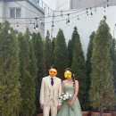 나무마당 | 스튜디오 4. 로렌하우스 스튜디오 마당나무씬 후기